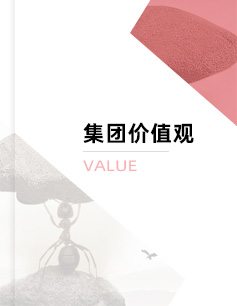 東方龍商務(wù)集團價值觀