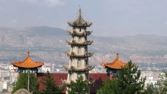 委托招商引資合作丨全力助推甘肅臨洮縣特色富民產(chǎn)業(yè)大發(fā)展！