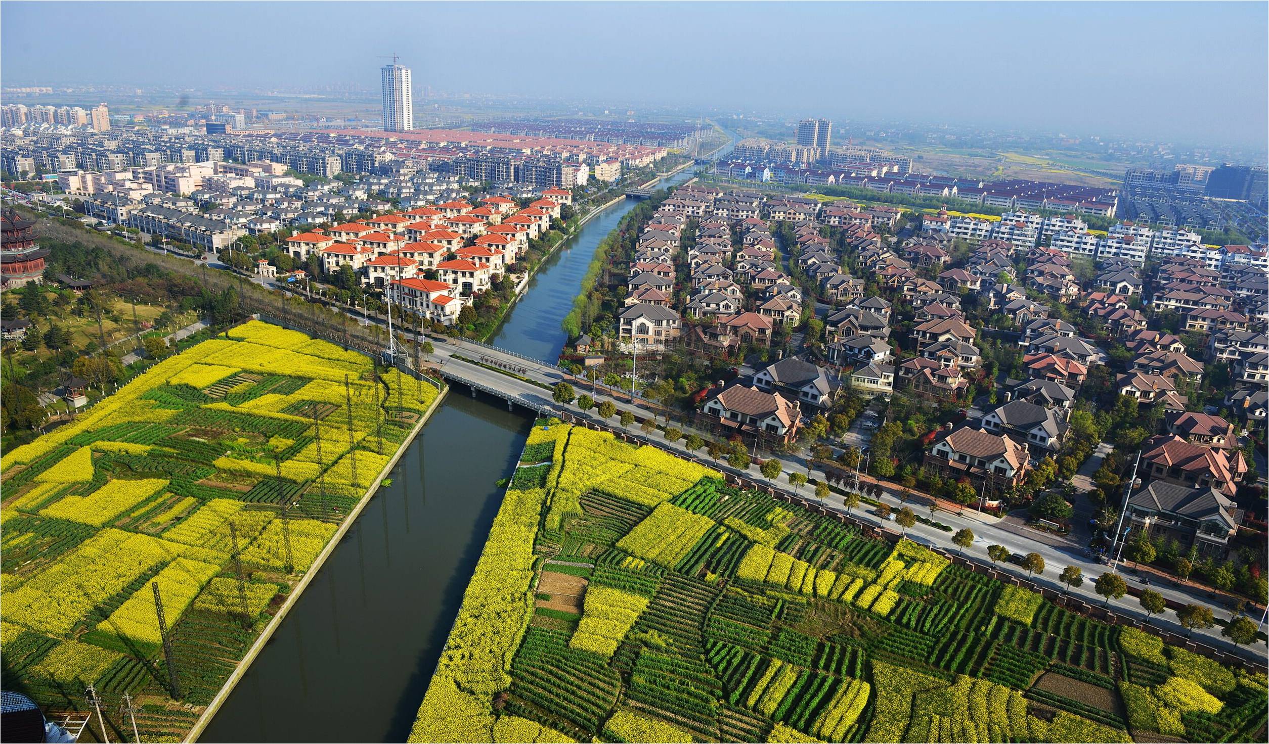 東方龍商務與浙江省桐鄉市梧桐街道達成委托招商引資合作,助力打造運河文化產業新城