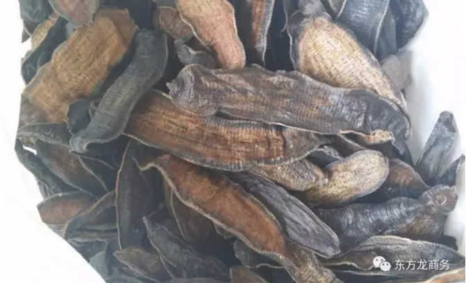 水蛭特種養殖全國布點投資選址項目 水蛭特種養殖全國布點投資選址項目