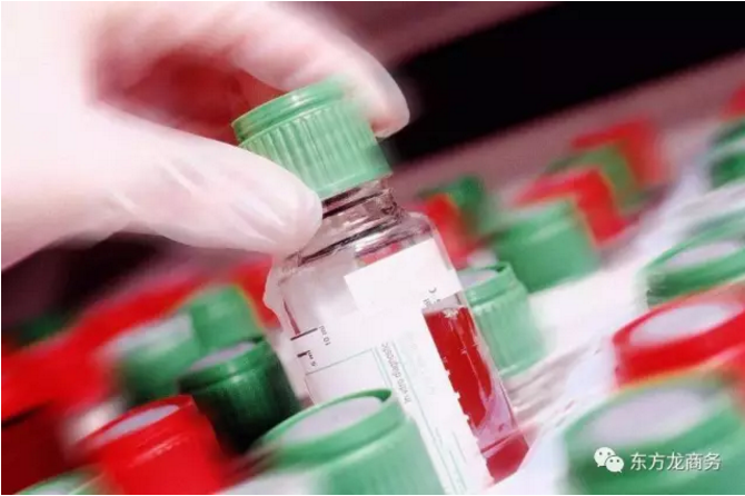 水蛭特種養殖全國布點投資選址項目 水蛭特種養殖全國布點投資選址項目