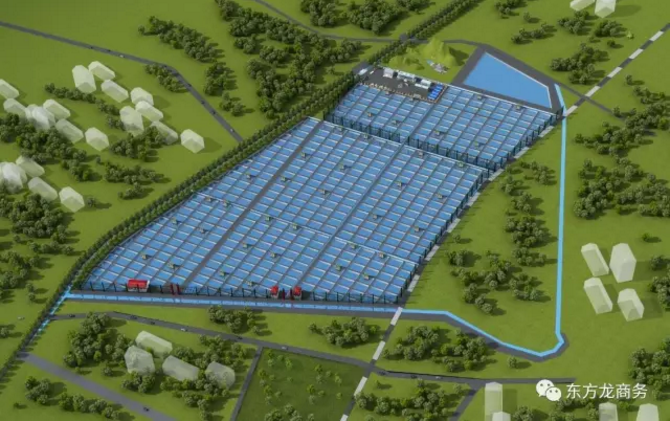 水蛭特種養殖全國布點投資選址項目 水蛭特種養殖全國布點投資選址項目