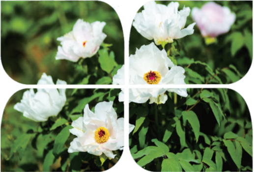 【直播預(yù)告】明日10:00第二屆甘肅·崇信發(fā)展大會暨“云招商”大會準時開播! 【直播預(yù)告】明日10:00第二屆甘肅·崇信發(fā)展大會暨“云招商”大會準時開播!