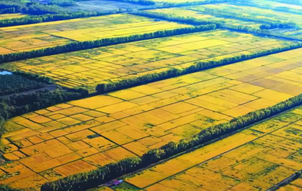 助力黑龍江綏濱縣委托招商引資,改造提升傳統(tǒng)產(chǎn)業(yè),加快發(fā)展優(yōu)勢產(chǎn)業(yè),實(shí)現(xiàn)產(chǎn)業(yè)優(yōu)化提檔,為縣域經(jīng)濟(jì)崛起提供新動力 助力黑龍江綏濱縣委托招商引資,改造提升傳統(tǒng)產(chǎn)業(yè),加快發(fā)展優(yōu)勢產(chǎn)業(yè),實(shí)現(xiàn)產(chǎn)業(yè)優(yōu)化提檔,為縣域經(jīng)濟(jì)崛起提供新動力