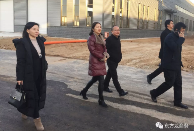 助力河北武安工業(yè)園區(qū)委托招商引資，重點推進(jìn)新能源、新材料、現(xiàn)代裝備制造項目落戶當(dāng)?shù)? width=