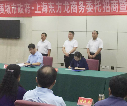 助力山東禹城市委托招商引資，打造宜居宜業的新高地