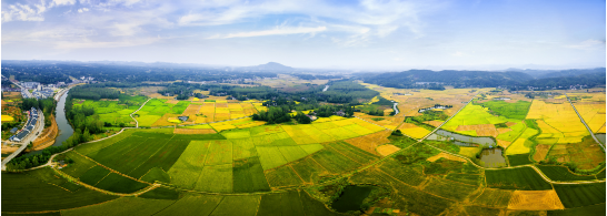 集團全力助推安徽六安霍山縣委托招商引資，著力打造支柱型特色產業高質發展