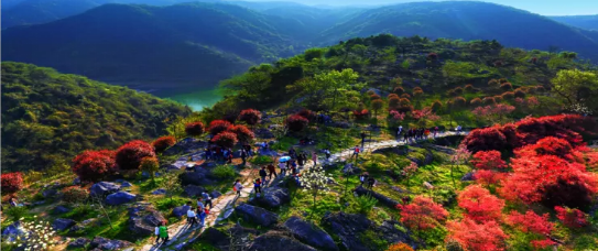 集團(tuán)全力助推安徽池州東至縣委托招商引資，開啟現(xiàn)代化“三美東至”建設(shè)新征程