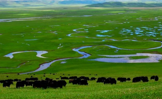 【甘南政府招商推介】 “五無”新甘南，高質量發展新時期