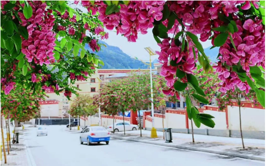 【甘南政府招商推介】 “五無”新甘南，高質量發展新時期