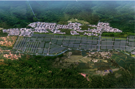 集團全力助推福建寧德周寧縣委托招商引資，強化特色產業實力，為全縣高質量發展增添新動力