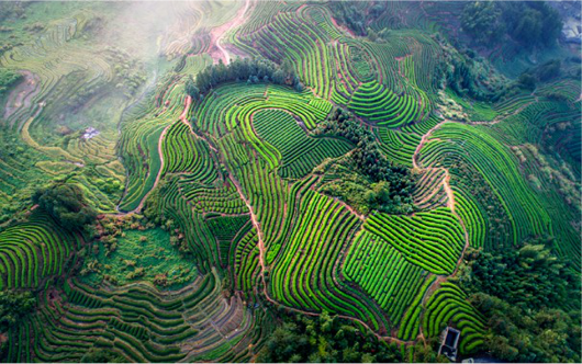 集團全力助推福建寧德周寧縣委托招商引資，強化特色產業實力，為全縣高質量發展增添新動力