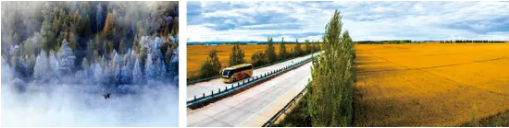 集團全力助推黑龍江省愛輝區(qū)委托招商引資，發(fā)揮資源優(yōu)勢，強化特色產(chǎn)業(yè)