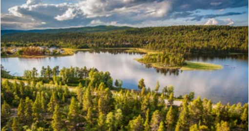 集團全力助推黑龍江省愛輝區(qū)委托招商引資，發(fā)揮資源優(yōu)勢，強化特色產(chǎn)業(yè)