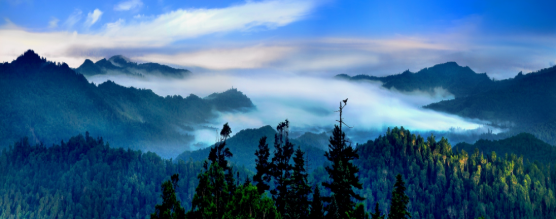 集團全力助推吉林省和龍市委托招商引資，發揮資源優勢助推“三城”建設