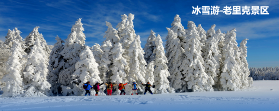 集團全力助推吉林省和龍市委托招商引資，發揮資源優勢助推“三城”建設