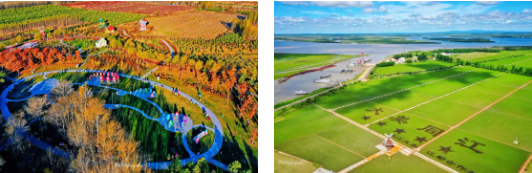 集團全力助推黑龍江省佳木斯市同江市委托招商引資，立足八大優勢，構筑發展新格局