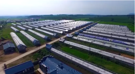 集團全力助推吉林省通化市輝南縣委托招商引資，做大做強四大特色產業集群