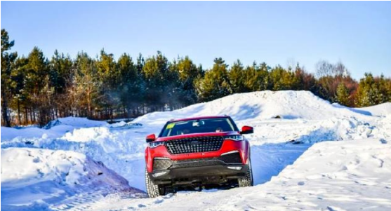 集團(tuán)全力助推黑龍江大興安嶺委托招商引資，聚力將“冷資源”轉(zhuǎn)化為“熱經(jīng)濟(jì)”！