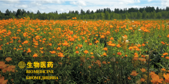 集團(tuán)全力助推黑龍江大興安嶺委托招商引資，聚力將“冷資源”轉(zhuǎn)化為“熱經(jīng)濟(jì)”！