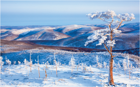 集團(tuán)全力助推黑龍江大興安嶺委托招商引資，聚力將“冷資源”轉(zhuǎn)化為“熱經(jīng)濟(jì)”！