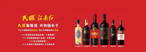 集團全力助推河南商丘民權縣委托招商引資，奮力打造民權特色產業(yè)發(fā)展高地