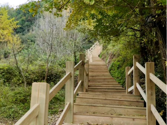 集團全力助推甘肅隴南徽縣委托招商引資，搶占綠色發(fā)展新賽道，推動經(jīng)濟大發(fā)展