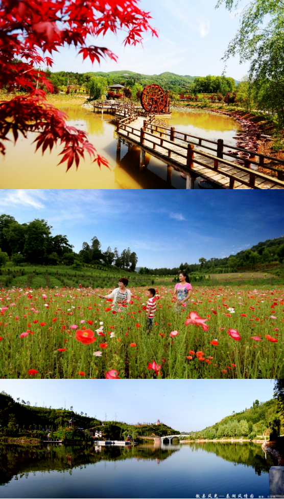 集團全力助推甘肅隴南徽縣委托招商引資，搶占綠色發(fā)展新賽道，推動經(jīng)濟大發(fā)展