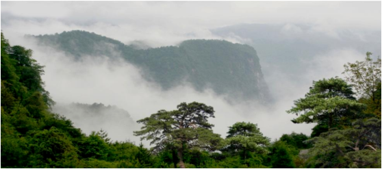 集團全力助推甘肅隴南徽縣委托招商引資，搶占綠色發(fā)展新賽道，推動經(jīng)濟大發(fā)展