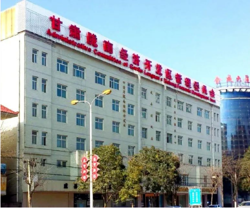 集團全力助推甘肅隴南成縣委托招商引資，充分挖掘資源潛力，增強經(jīng)濟發(fā)展動力