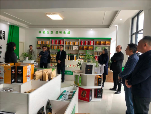 集團全力助推甘肅隴南成縣委托招商引資，充分挖掘資源潛力，增強經(jīng)濟發(fā)展動力