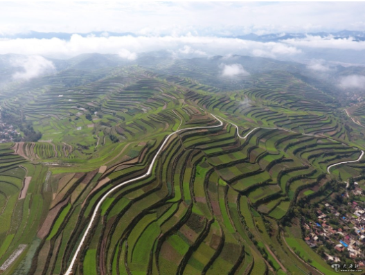 集團(tuán)全力助推甘肅隴南宕昌縣委托招商引資，以特色優(yōu)勢(shì)資源引領(lǐng)，培育綠色產(chǎn)業(yè)高質(zhì)量發(fā)展！