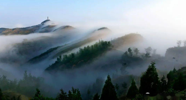 集團全力助推陜西榆林子洲縣委托招商引資，打造特色產業集聚地