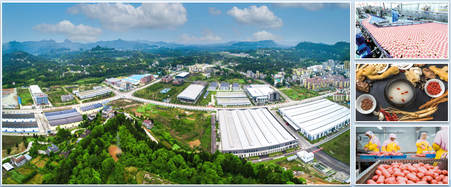 集團全力助推四川巴中恩陽區委托招商引資，全面建設“兩地三區”現代化新恩陽