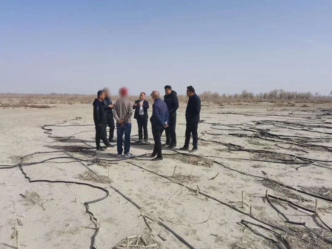 用時僅17天，投資額10億！新疆某地方政府與肉羊養殖加工產業投資選址項目成功簽訂投資協議