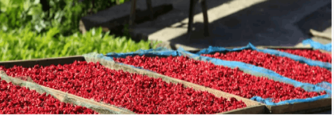 集團(tuán)全力助推湖北襄陽南漳縣委托招商引資，擦亮南漳“金”字招牌，打造南漳發(fā)展新高地