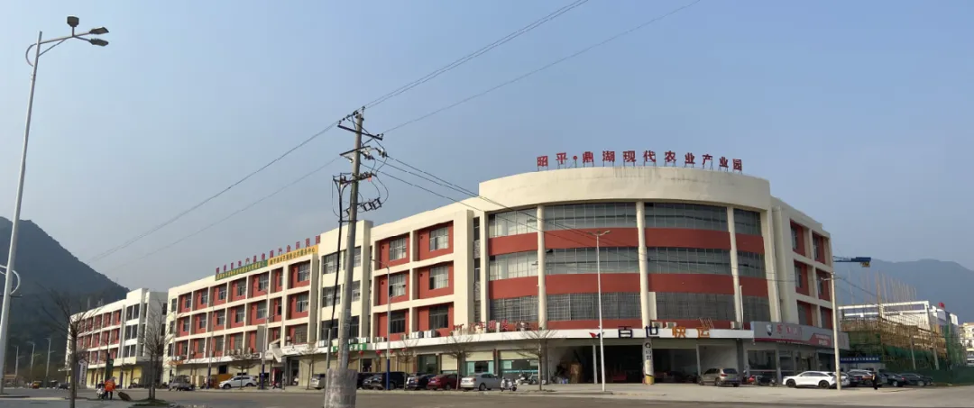 集團全力助推廣西賀州昭平縣委托招商引資，助力產業蝶變升級！