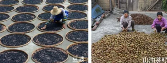 集團全力助推廣西賀州昭平縣委托招商引資，助力產業蝶變升級！