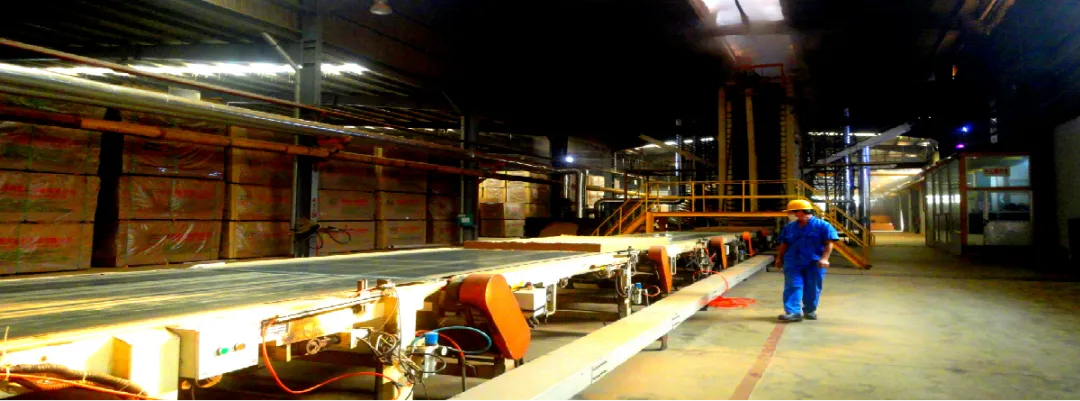 集團全力助推廣西賀州昭平縣委托招商引資，助力產業蝶變升級！