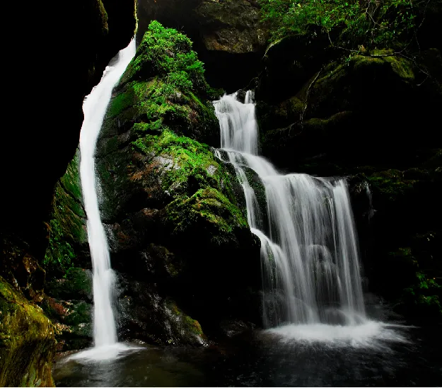 集團全力助推廣西賀州昭平縣委托招商引資，助力產業蝶變升級！