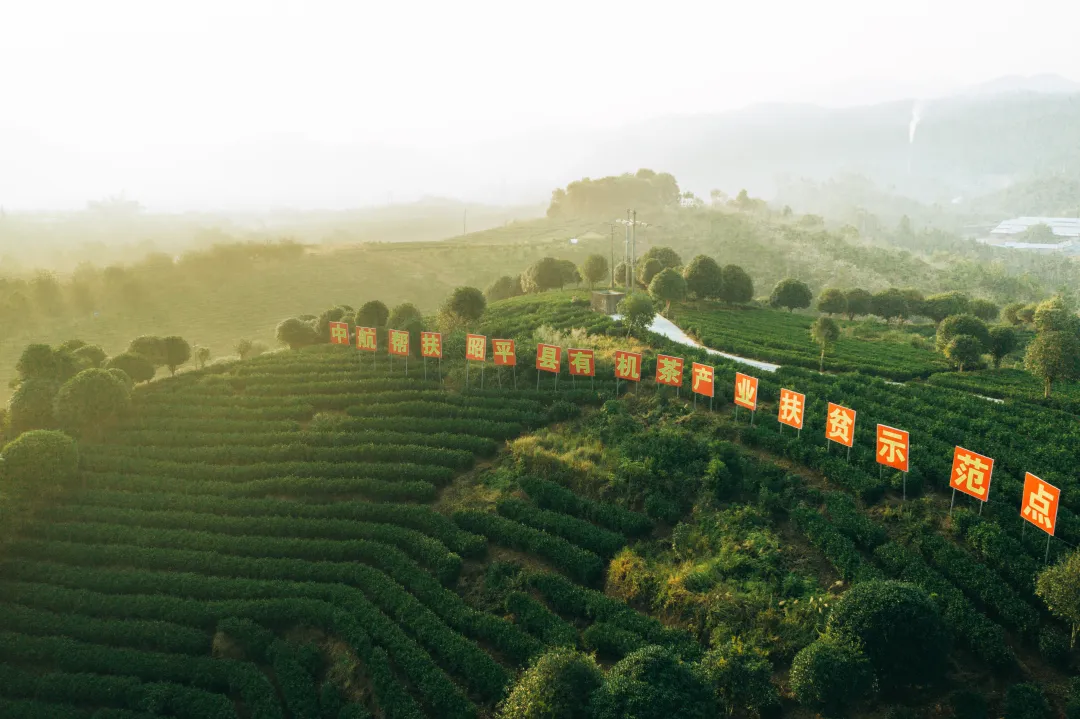 集團全力助推廣西賀州昭平縣委托招商引資，助力產業蝶變升級！