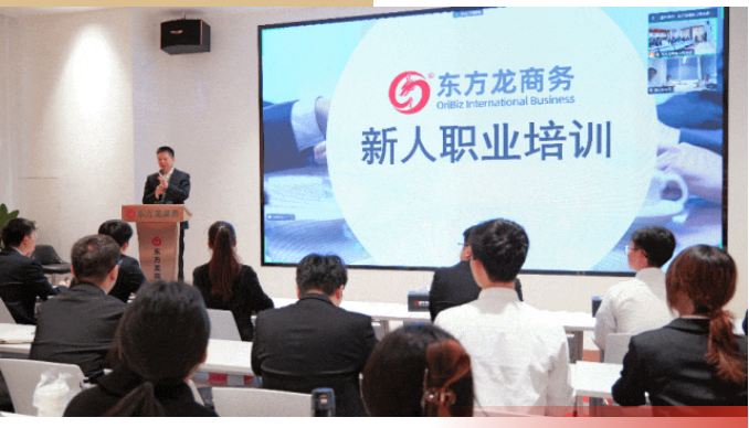 【2024年度運營服務地圖】全年新項目開發(fā)體量達1953.26億元，總投資達609億的優(yōu)質(zhì)項目精準落地