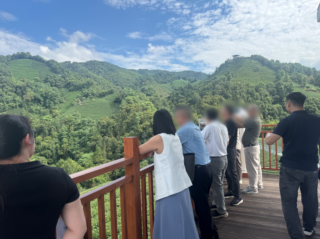 百項發(fā)明專利，全國擁有多個種植中心和生產(chǎn)基地！自主品牌茶葉加工生產(chǎn)擴建投資選址項目方實地考察廣西某地方政府